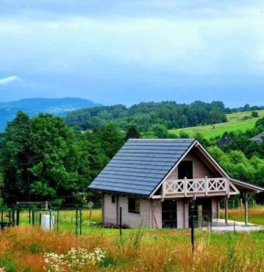 Domek pod Ostoją Góry Sowie Łomnica